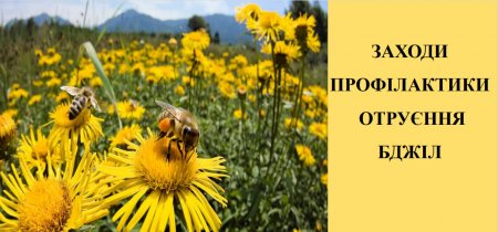 Заходи профілактики отруєння бджіл » Офіційний інтернет ...
